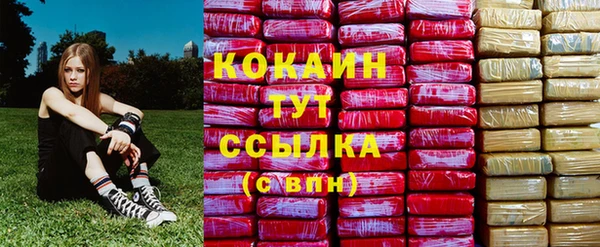 молекула духа Лихославль