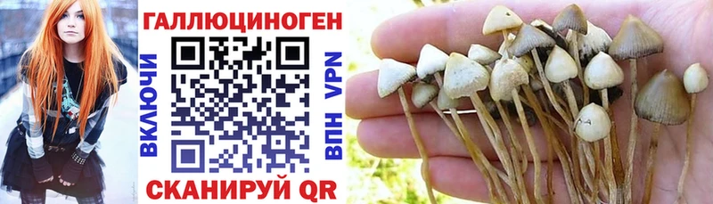 где можно купить наркотик  мориарти официальный сайт  Галлюциногенные грибы Cubensis  Усинск 
